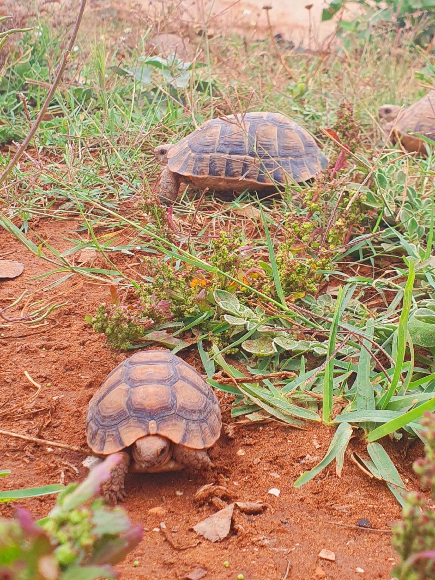 Вилла L'Experience Berbere Агадир Экстерьер фото